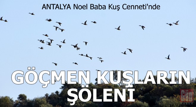 Kuş Cenneti nde göçmen kuşların şöleni