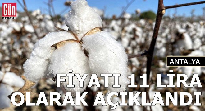 Kütlü pamuğun fiyatı 11 lira olarak açıklandı