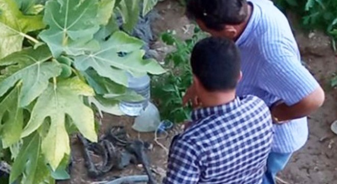 Kuyudan insana ait olduğu sanılan kemikler çıktı