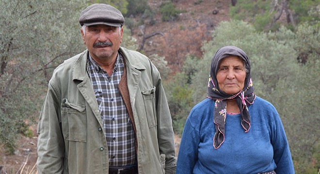 Kuyuya düşüp ölen eşeği için üzüldü