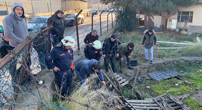 Kuyuya düşen köpeği itfaiye ekipleri kurtardı