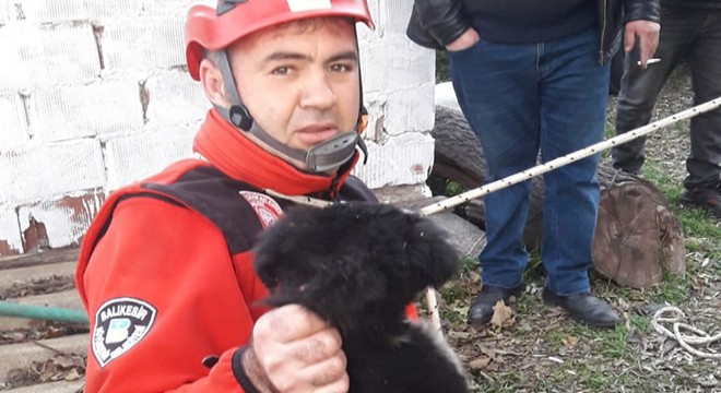 Kuyuya düşen köpek, ip merdivenle kurtarıldı