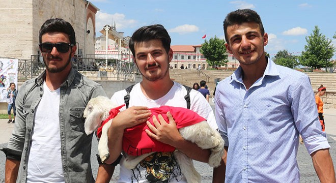Kuzeninin hediye ettiği kuzuyu yanından ayırmıyor