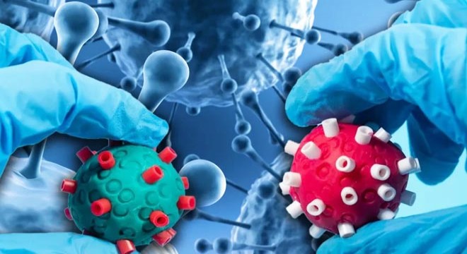 Kuzey Yarımküre de  H3N2  alarmı