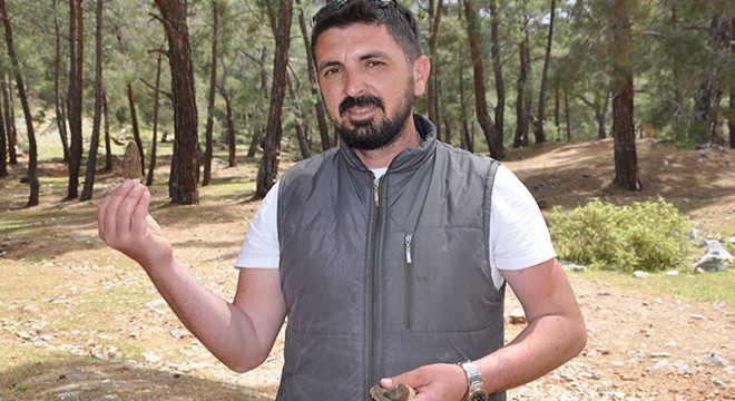 Kuzugöbeği mantarıyla ekonomilerine katkı sağlıyorlar