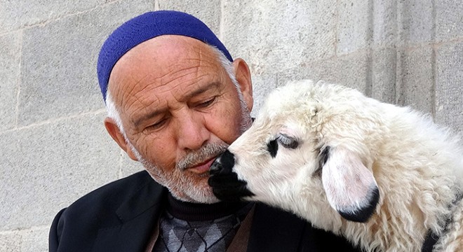 Kuzuları yanından ayrılmıyor