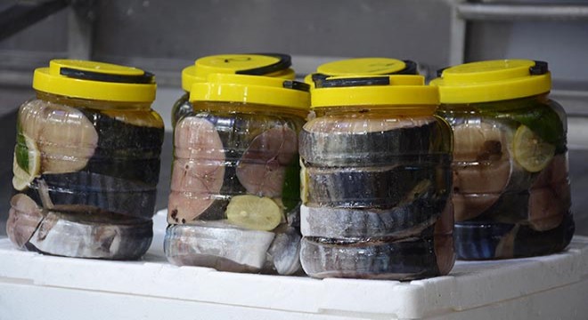 Lakerda 2 kiloluk kavanozlarda 400 liraya satışa çıktı