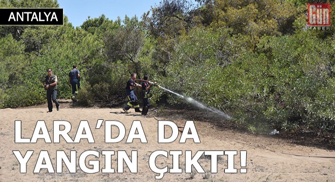 Lara'daki ormanlık alanda yangın