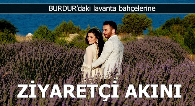 Lavanta bahçelerine ziyaretçi akını