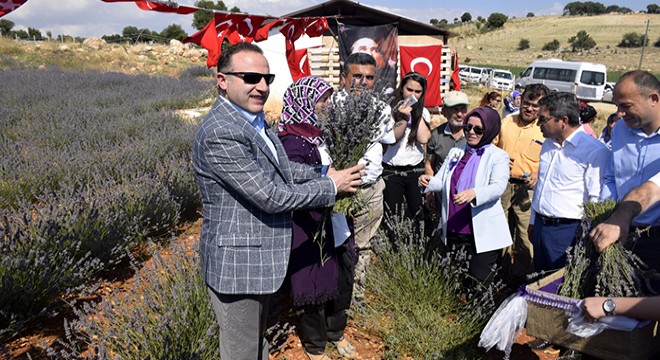 Lavanta bahçesinde tarla günü etkinliği