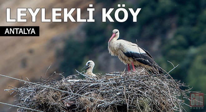 Leylekli köy