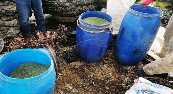 Lice'de 2 ton 80 kilo esrar ele geçirildi