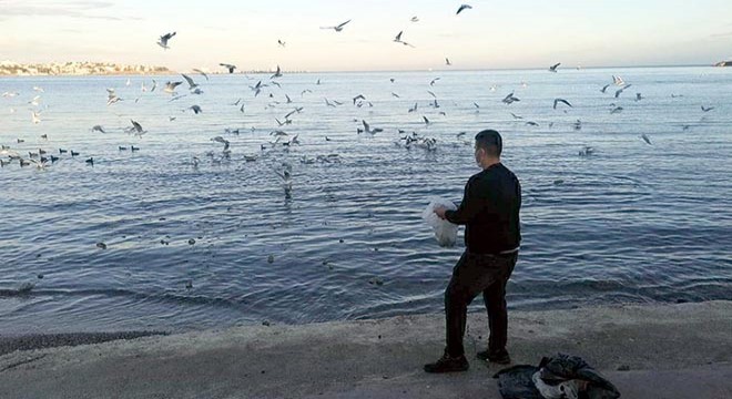 Lokantadan arta kalan ekmeklerle martıları besledi