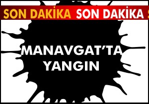 Manavgat'ta yangın