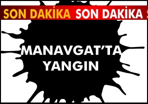 Manavgat ta yangın