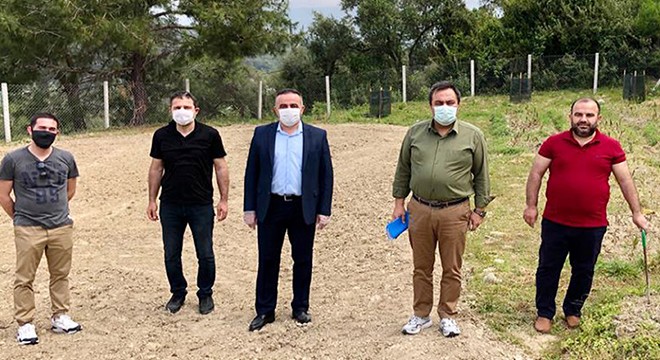 MASİAD'dan tıbbi aromatik bitki atağı