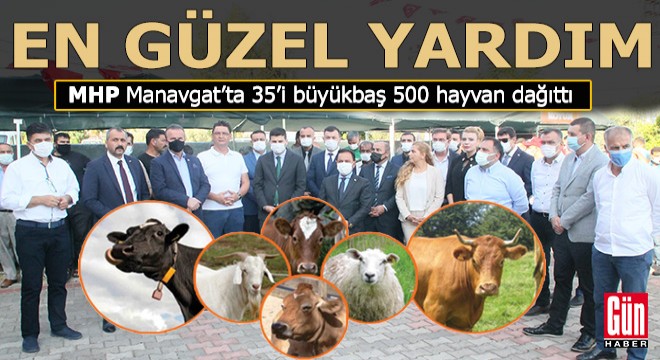 MHP'den Manavgat'ta 124 köylüye 500 hayvan
