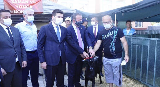 MHP'den yangınzedelere hayvan desteği
