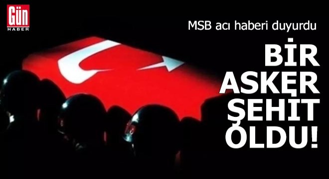 MSB acı haberi duyurdu: Bir asker şehit oldu