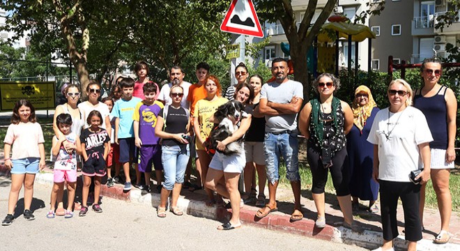 Mahalleli, Antalya daki köpek ölümlerine çare arıyor