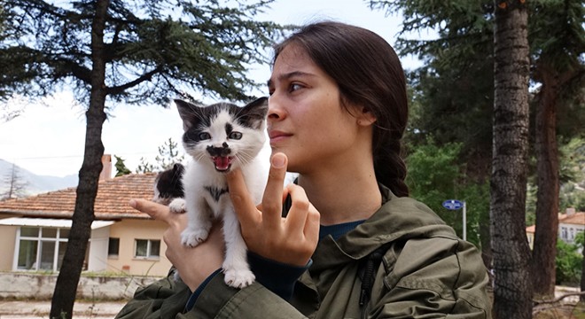 Mahallelinin beslediği kedi, ayakları kesilmiş halde ölü bulundu