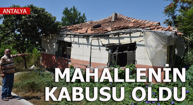 Mahallelinin kabusu gecekondu