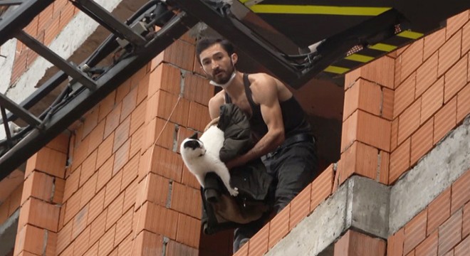Mahsur kaldığı inşaattan kurtarılan kedi üçüncü kattan atladı