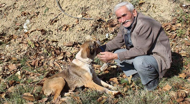 Mahsur kalan köpeği iple yanına inerek kurtardı