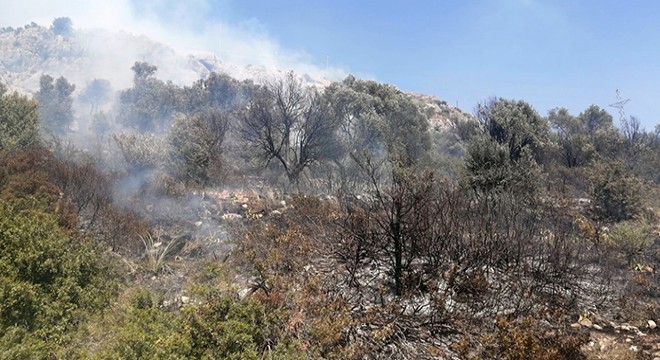 Makilik alanda yangın