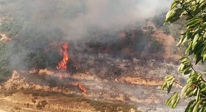 Makilik alanda çıkan yangın söndürüldü