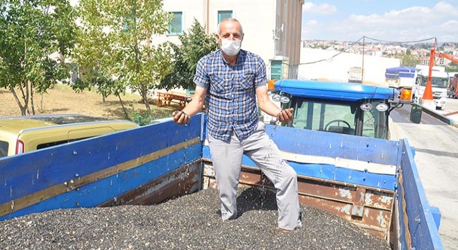 Malkara'da sezonun ilk ayçiçeği 3,61 liradan satıldı