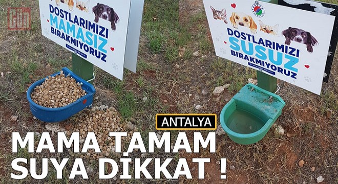 Mama tamam, suya dikkat...