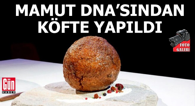 Mamut DNA’sından köfte yapıldı