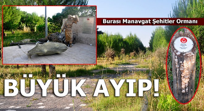 Manavgat Şehitler Ormanı'nda büyük ayıp!