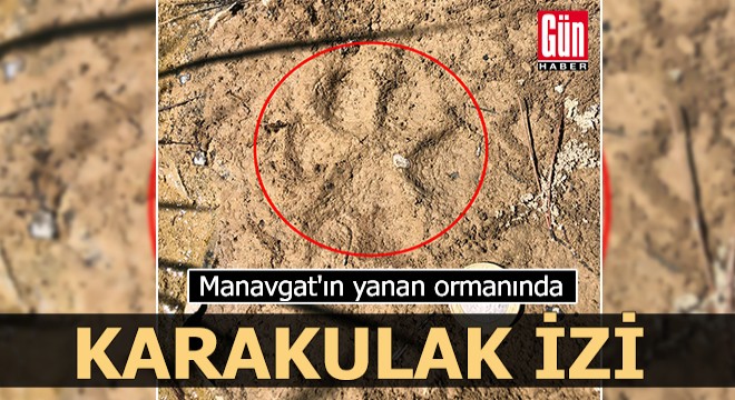 Manavgat'ın yanan ormanında karakulak izi