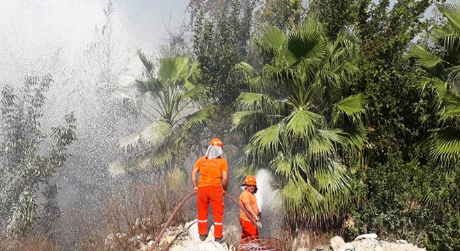Manavgat ırmak kenarında yangın