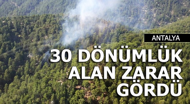 Manavgat'ta 30 dönümlük ormanlık alan zarar gördü
