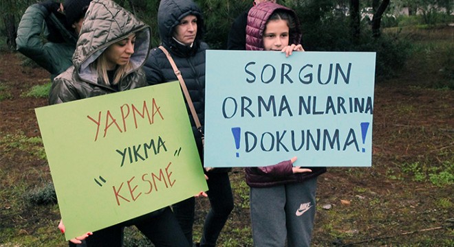Manavgat'ta ağaç kesme protestosu