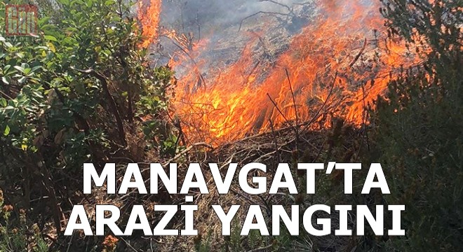 Manavgat'ta arazi yangını