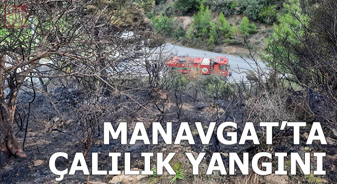 Manavgat'ta çalılık alan yangını