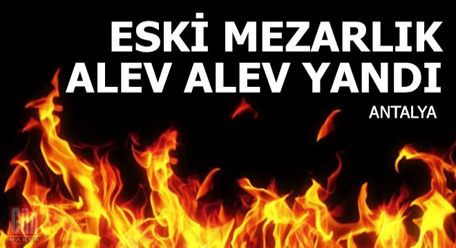 Manavgat'ta eski mezarlık yandı