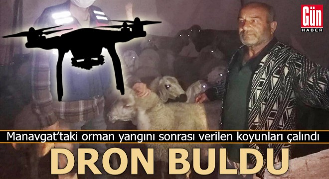 Manavgat'ta hibe edilen koyunları çalındı