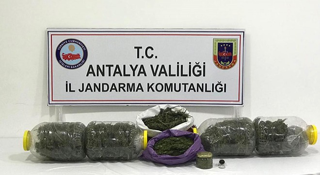 Manavgat'ta jandarmanın uyuşturucu operasyonları