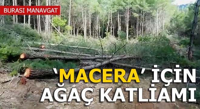 Manavgat'ta 'macera' için ağaç katliamı