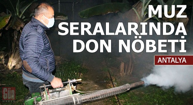 Manavgat'ta muz seralarında don nöbeti