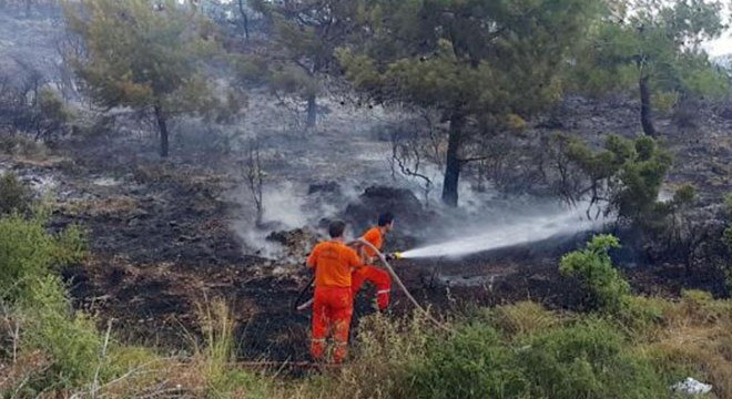 Manavgat'ta orman yangını