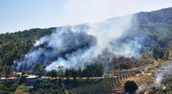 Manavgat'ta orman yangını
