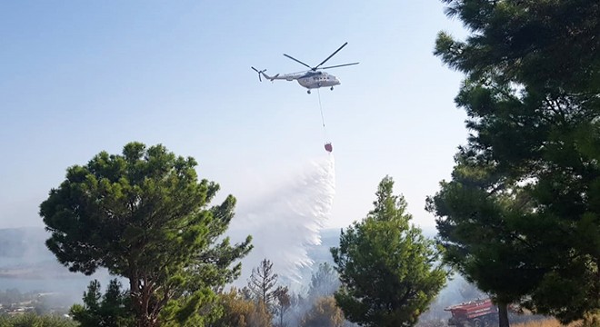 Manavgat'ta orman yangını