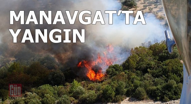 Manavgat'ta orman yangını