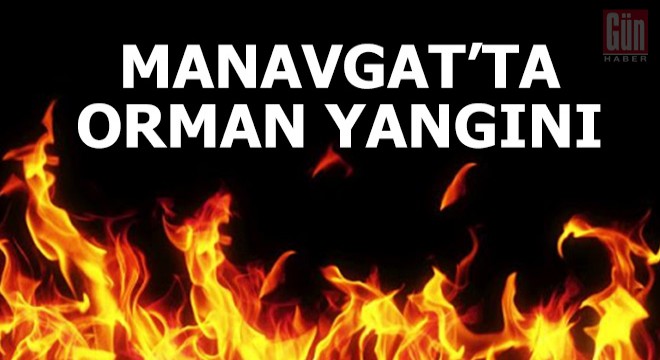 Manavgat'ta orman yangını